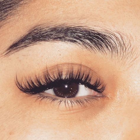 Natural Wet Eyelash Extensions, Classic Extensions, Classic Individual Lashes, Eyelash Extensions Classic Cat Eye, Classic Eyelash Extensions Doll Eye, Classic Eyelash Extensions Cat Eye, Lash Extensions Styles Natural, Classic Eyelash Extensions, Classic Open Eye Eyelash Extensions