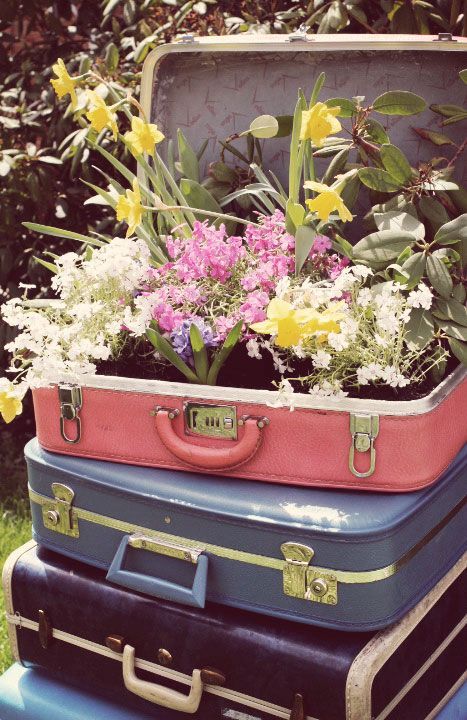 suitcase garden planter Suitcase Garden, Suitcase Upcycle, Suitcase Craft, Cute Dog Beds, Cocktail Recipe Book, Craft Supply Storage, Revamp Furniture, Old Suitcases, Vintage Suitcases