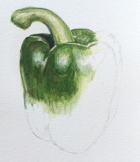 A Level Art Sketchbook, Pencil Drawing Tutorials, Observational Drawing, Still Life Fruit, Object Drawing, Watercolor Fruit, Art Appliqué, Colored Pencil Techniques, Green Pepper