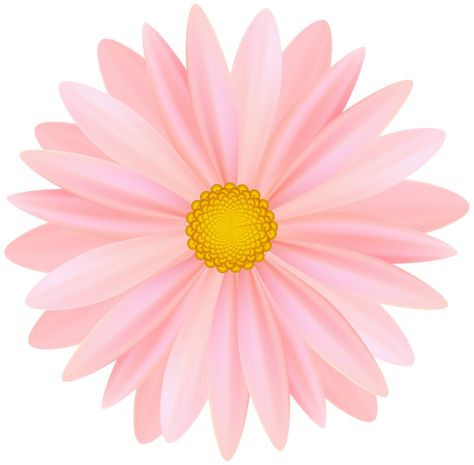 Pink Flower Png, Flower Png Transparent, Happy Birthday Png, Sublimation Ideas Projects Inspiration, Halloween Clips, Eid Decoration, Flower Art Drawing, Flowers Png, Beautiful Pink Flowers