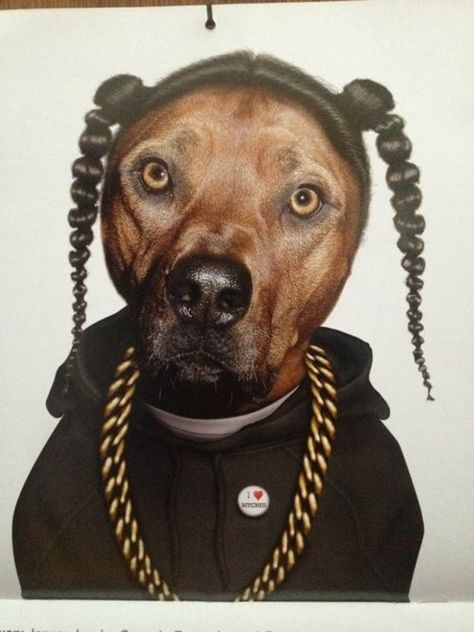 Snoop Dog is listed (or ranked) 8 on the list The Punniest Dog Names for Your Puppy Pals Snoop Dog, Pet Rocks, Dog Cards, I Love Music, Arte Animal, Snoop Dogg, Famous Faces, Pet Portraits, A Dog