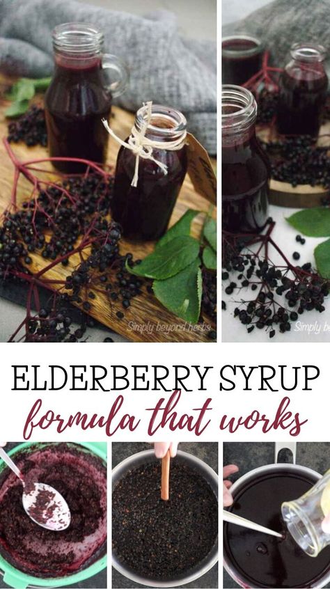 Elderberry Medicine Recipe, How To Make Elderberry Tincture, How To Make Homemade Elderberry Syrup, Elderberry Syrup With Fresh Elderberries, Elderberry Syrup Canning Recipe, Elderberry Recipes Syrup, Elderberry Syrup Recipe Shelf Stable, Elderberry Astragalus Syrup, Elderberry Honey Syrup Recipe