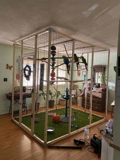 Indoor Aviary Ideas, Indoor Bird Aviary, Indoor Bird Room Ideas, Parrot Enclosure, Diy Aviary, Parrot Room, Macaw Cage, Homemade Bird Toys, Bird Room