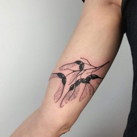 Maple Leaf Seed Tattoo, Maple Branch Tattoo, Maple Seed Drawing, Maple Tree Seed Tattoo, Sycamore Leaf Tattoo, Sycamore Seed Tattoo, Sycamore Tattoo, Helicopter Seed Tattoo, Nasturtium Tattoo