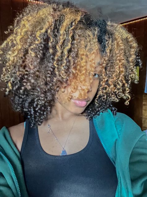 curly hair with blonde highlights Honey Blonde Highlights On Brown Hair 4c, Blonde Highlights 4c Natural Hair, Curly Black And Blonde Hair, Highlights Type 4 Hair, Blonde Highlights 4c Hair, 4c Highlights Natural Hair, 4c Highlights, Highlights 4c Hair, Curly Chunky Highlights