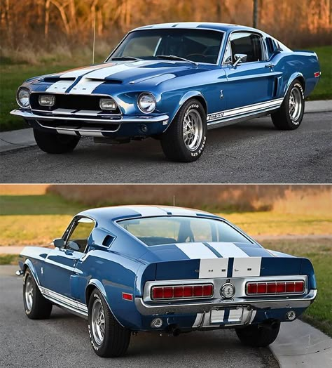 68 Mustang Fastback, 1968 Ford Mustang Fastback, Shelby Mustang Gt500, Cars Mustang, Muscle Cars Mustang, Mustang Gt500, Ford Mustang Car, American Auto, Shelby Mustang