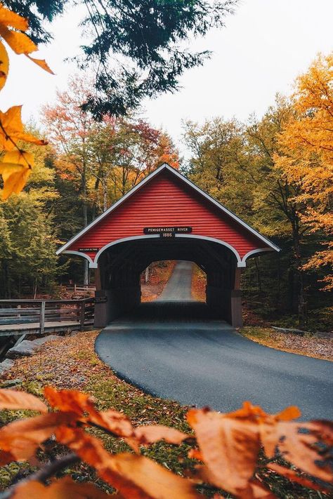 “Untitled” by | Lewis Hackett Lincoln, New Hampshire Lincoln New Hampshire, New England Travel, Covered Bridge, Autumn Scenery, Cozy Autumn, Fall Travel, Covered Bridges, Autumn Cozy, Autumn Aesthetic