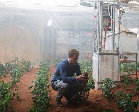 The Martian The Martian Aesthetic, Martian Aesthetic, Matt Damon The Martian, Martian Manhunter Wallpaper, Martian Movie, The Martian Movie, The Martian Cinematography, Mark Watney, Movie Diary