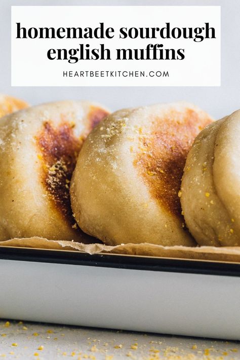 sourdough english muffins lined up in a white enamel baking pan. Sourdough Active Starter Recipes, Sourdough Recipes English Muffins, Sourdough English Muffin Recipe Easy, Fluffy Sourdough English Muffins, Sourdough Starter English Muffins, Homemade Sourdough English Muffins, Same Day Sourdough English Muffins, Sourdough English Muffin Recipe, Sourdough English Muffins