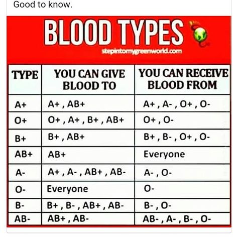 Blood Type Chart, Medical Terminology Study, Blood Types, Type Chart, Nurse Study Notes, Medical Student Study, Medical Laboratory Science, Nursing School Survival, Blood Groups