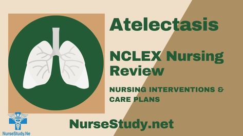 Atelectasis Nursing Care Plans Diagnosis and Interventions Atelectasis Nursing, Mucus Plug, Pleural Effusion, Nclex Review, Lung Conditions, Nursing Study Guide, General Anaesthesia, Nursing Diagnosis, Nursing Care Plan