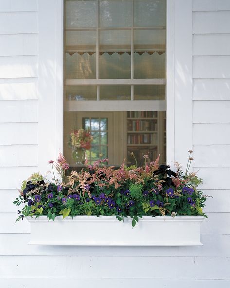 Balcony Gardens, Summer Window, Backyard Spaces, Front Porch Decorating, Window Boxes, Annual Plants, Window Box, Diy Backyard, Backyard Decor