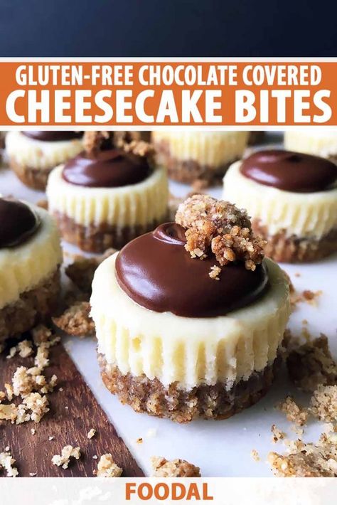 Gluten Free Cheesecake Bites, Chocolate Covered Cheesecake Bites, Chocolate Covered Cheesecake, Gluten Free Cheesecake, Gluten Free Desserts Recipes, Gf Desserts, Gluten Free Sweets, Cheesecake Bites, Gluten Free Treats