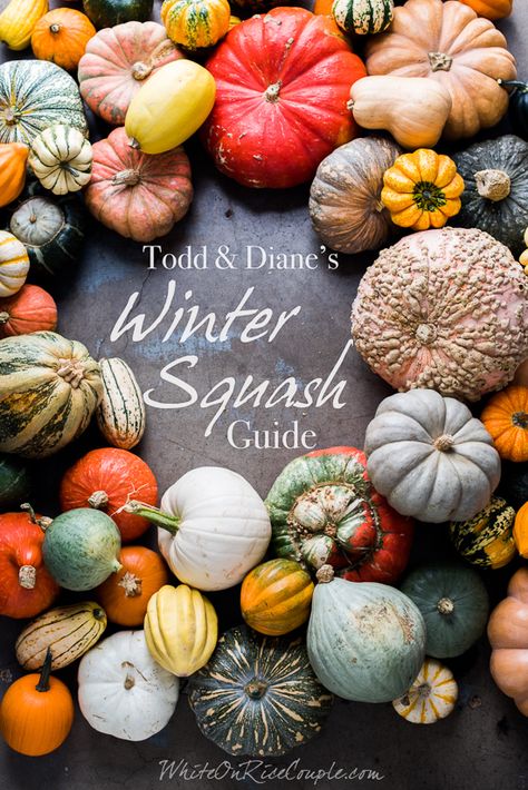 Winter Squash Varieties, Squash Types, Brussels Sprouts Gratin, Winter Squash Recipes, Types Of Pumpkins, Pumpkin Varieties, Squash Varieties, Pumpkin Squash, Fall White