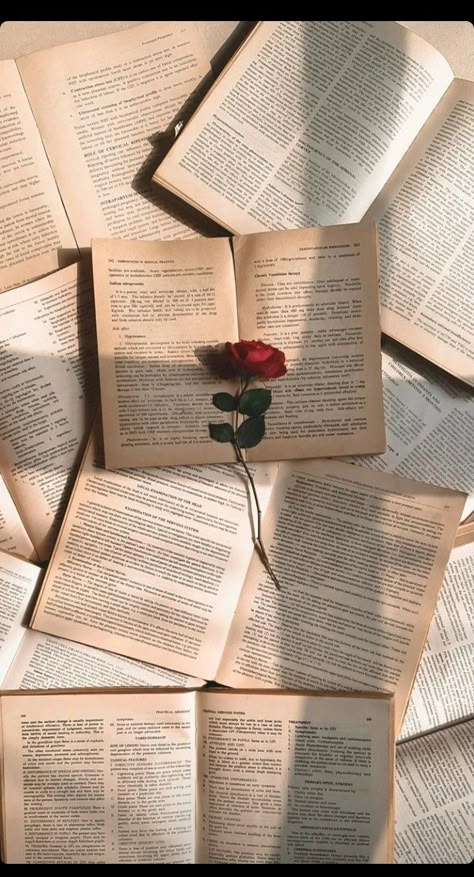 Plain Book Page Aesthetic, Books And Roses, Green Page, Rose Pic, Burning Rose, Paper Aesthetic, Black And Red Roses, Collateral Beauty, Red Roses Wallpaper