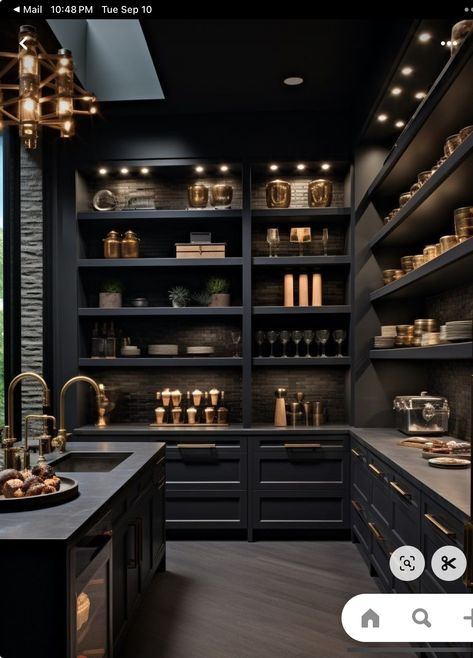 Dream Pantry Walk In, Walk In Pantry Ideas, Apartment Nyc, Dream Pantry, House Pantry, Kitchen 2024, Kitchen Pantry Design, Carpentry Diy, Classic Kitchen