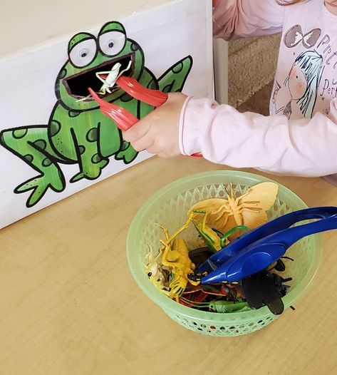 Five Speckled Frogs Activities, Tadpole Craft Preschool, Frog On A Log Craft, Frog Kindergarten Activities, Five Green And Speckled Frogs Activities, Tiddalick The Frog Activities, Feed The Frog Activity, 5 Little Speckled Frogs Activities, Frog Activities For Toddlers