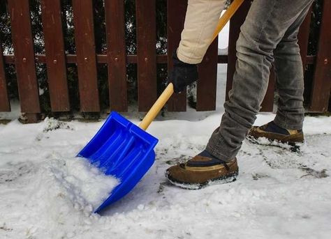 8 Quick Tips for Solving Winter Woes Snow Shovels, Flea Prevention, Best Pest Control, Bug Control, Bees And Wasps, Dawn Dish Soap, Pest Management, Insect Control, Snow Removal