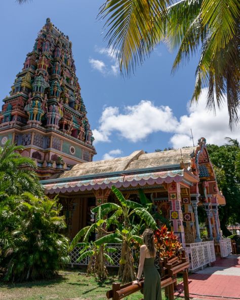 Kailassam Temple, Mauritius 🌴✨ A vibrant cultural gem in the heart of the city. Have you seen this before? #mauritiusnow #hiddengem #templevibes #exploremauritius Mauritius City, Catch Flights, Dream Places, Have You Seen, Study Abroad, Summer Holiday, Mauritius, Dream Vacations, In The Heart