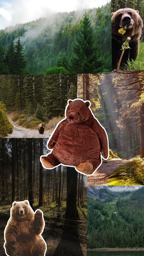 ikea bear aesthetic wallpaper Bear Aesthetic Wallpaper, Ikea Bear, Bear Aesthetic, Aesthetic Wallpaper, Aesthetic Wallpapers, Bears, Quick Saves