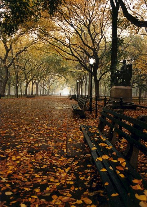 Central Park | Powers Fine Art Photography Friends Moodboard, Central Park Aesthetic, Central Park Photography, Central Park Fall, Swaggy Fits, Park Aesthetic, Invisible String, St James' Park, Angel Statue