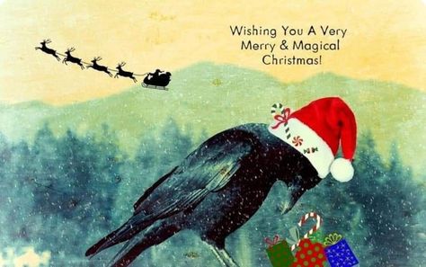 Etsy Christmas Cards, Merry Witchmas, Crow Pfp, Winter Solstice Celebration, Raven And Wolf, Merry Christmas Pictures, Black Birds, Crow Art, Dark Christmas