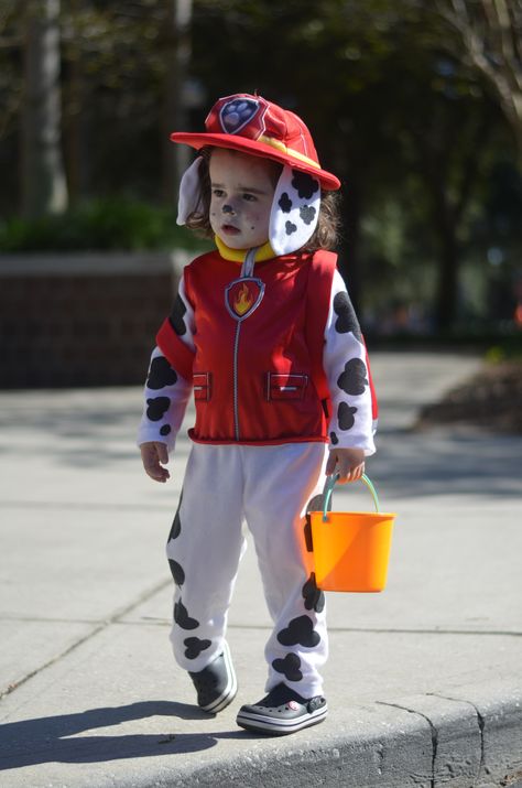 Paw Patrol Costume Marshall, Marshal Costume Paw Patrol, Marshall Paw Patrol Costume, Marshall Halloween Costume, Marshall Costume, Paw Patrol Costume, Childrens Halloween Costumes, Paw Patrol Birthday Theme, Paw Patrol Marshall