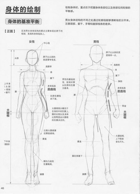 Anatomi Sketch, Manga Poses Reference, Anatomy Drawing Tutorial, Body Anatomy Drawing, Male Vs Female, Female Anatomy Reference, Man Anatomy, Anatomy Tutorial, Human Anatomy Drawing