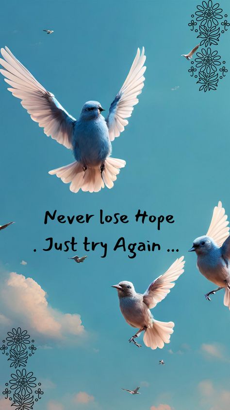 Never lose hope, just try again Try Again Quotes, Inspirational Quotes Wallpaper, Trending Wallpapers, Inspirational Quotes Wallpapers, Never Lose Hope, Lost Hope, Love Wallpaper, Try Again, Wallpaper Quotes