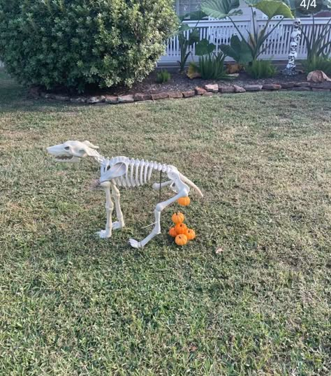 Funny Skeleton Poses, Skeleton Decorations Outdoor, Skeleton Poses, Skeleton Memes, Halloween Comics, Skeleton Ideas, Halloween Yard Displays, Halloween Camping, Halloween Party Decor Diy