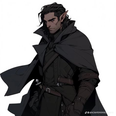 Dungeons And Dragons Rogue, Elf Rogue, Rogue Character, Dnd Elves, Male Elf, Half Elf, Elf Characters, Caracter Design, Elf Art