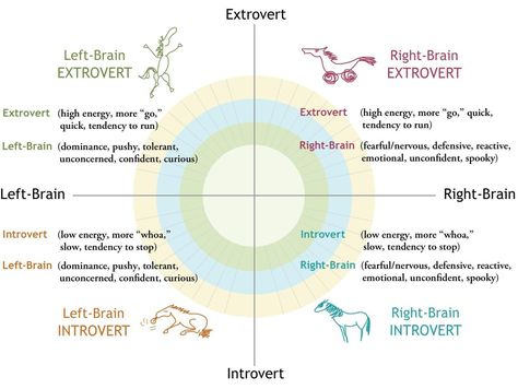 Parelli Natural Horsemanship, Natural Horsemanship Training, Types Of Psychology, Horse Information, Show Jumping Horses, Equestrian Quotes, Vet Medicine, Equestrian Problems, Horse Care Tips