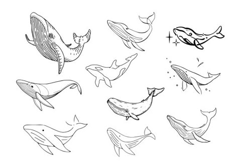 Whale Tattoo Set Vector (EPS, SVG) Small Humpback Whale Tattoo, Cute Whale Tattoo, Fine Line Whale Tattoo, Tiny Whale Tattoo, Sea Creature Tattoo, Whale Tail Tattoo, Tattoo Whale, Humpback Whale Tattoo, Whale Shark Tattoo