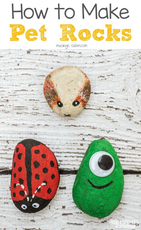 Pet Rocks - a fun activity for kids of all ages Babysitting Activities, Babysitting Crafts, Fun Activity For Kids, Babysitting Fun, Fall Preschool Activities, Pet Rocks, Activity For Kids, Camping Crafts, Summer Activities For Kids