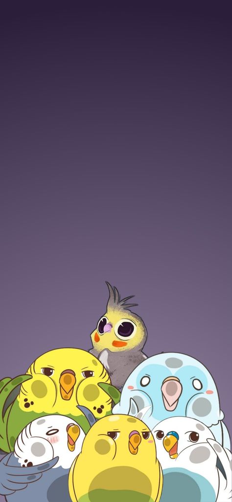 Cockatiel Wallpaper, Budgie Wallpaper, Cute Bird Wallpaper, Wallpaper Birds, Parrot Wallpaper, Cute Images For Wallpaper, Birds Wallpaper, Bird Wallpaper, Cute Birds