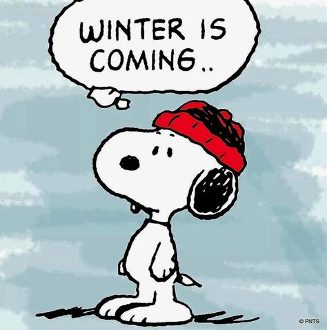 Winter Is Coming... Snoopy Snoopy Winter, Funny Llama, Snoopy Images, Peanuts Cartoon, Snoopy Wallpaper, Snoopy Quotes, Snoopy Pictures, Peanuts Christmas, Snoop Dog