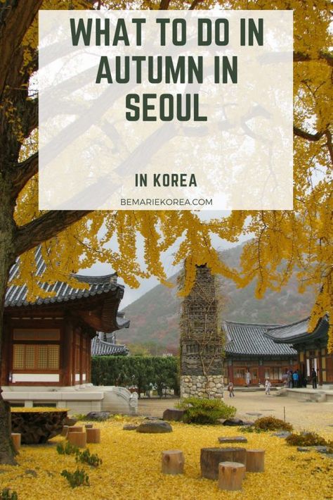 Autumn In Seoul | Places To See Korean Autumn Leaves | Be Marie Korea Seoul Places, Autumn In Seoul, Korea Beautiful Places, Girls Traveling, Cities In Korea, Autumn In Korea, Korean Travel, Seoul Travel, South Korea Travel