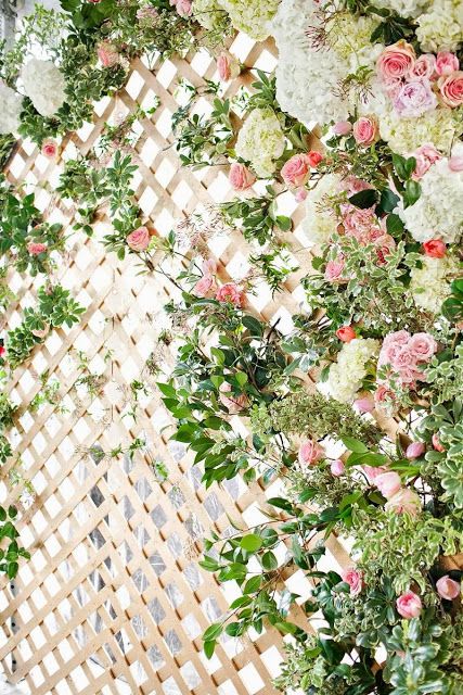 lattice & Roses Lattice With Flowers, Trellis Photo Backdrop, Lattice Rose Wall, Lattice Floral Backdrop, Lattice Backdrop, Prom Photo Booth, Wooden Lattice, Wedding Magazine Cover, Bows And Arrows