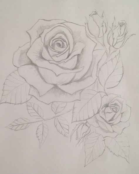 Pencil Sketches Flowers, Rose Drawing Tattoo, Easy Cartoon, Pencil Drawings Of Flowers, Arte Aesthetic, Painting Flowers Tutorial, Roses Art, Flower Drawing Tutorials, Easy Cartoon Drawings