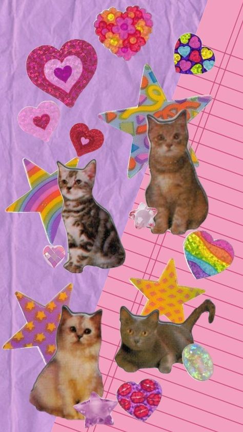 Cat Y2k Wallpaper, Rainbow Cat Wallpaper, Cat Collage Wallpaper, Silly Cat Wallpaper, Wallpaper Gatos, Cat Journal, Cat Collage, Funny Cat Wallpaper, Wallpaper Cat