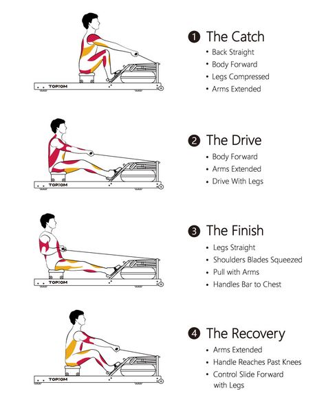 Rowing Machine Workout Benefits, Rowing Benefits, Row Workout, Row Machine Benefits, Indoor Rowing Workout, Rowing Exercise, Firestarters Diy, Rowing Workouts, Machine Workouts