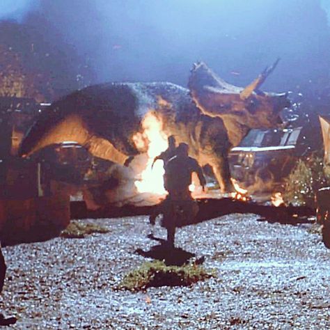 Triceratops The Lost World Jurassic park Jurassic Park The Lost World, The Lost World Jurassic Park, Lost World Jurassic Park, Lost World, The Lost World, Jurassic Park World, Weird Stuff, Prehistoric Animals, Jurassic World