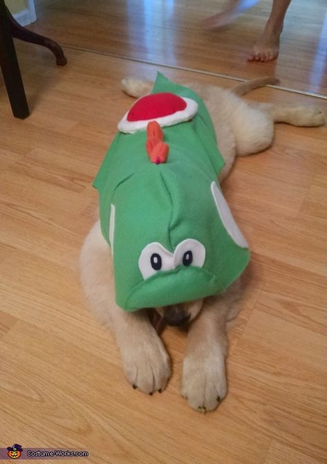 Sylvia: My golden retriever puppy is wearing the costume. His name is Yoshi and he is dressed up as Yoshi from the video game Mario Bros. He is named after that... Super Mario Dog Costume, Mario Dog Costume, Yoshi Dog Costume, Mario Costume Diy, Mario And Luigi Halloween, Luigi Halloween Costume, Yoshi Costume, Game Mario Bros, 2015 Halloween Costumes