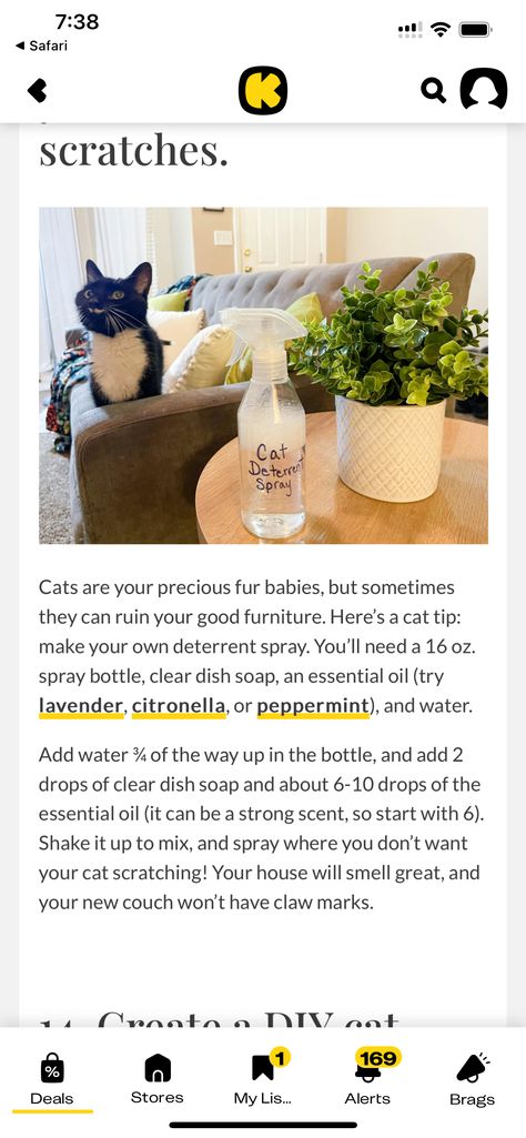 Diy Cat Deterrent Spray For Furniture, Keeping Cats Off Counters, Cat Deterrent Spray, Cat Tricks, Cat Deterrent, Cat Hacks, Cat Spray, Diy Sprays, Cat Claws