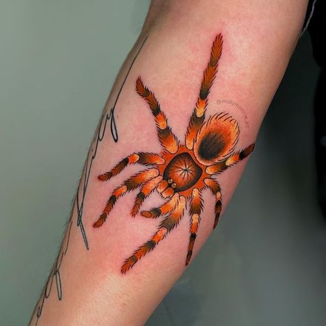 Spider Tattoo Tarantula, Spider Knee Cap Tattoo, Fuzzy Spider Tattoo, Trad Spider Tattoo, Tarantula Tattoo Design, Traditional Spider Tattoo, Bug Core, Tx Tattoo, Tarantula Tattoo