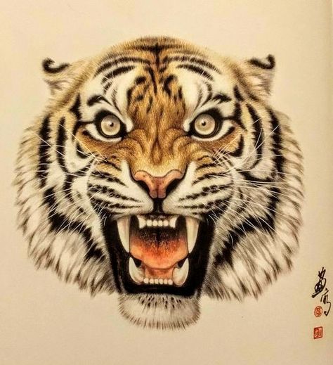 Blackberry Wallpaper, Tato Phoenix, Animal Poses, Big Cat Tattoo, Angry Tiger, Vintage Tattoo Design, Panthera Tigris, Tiger Tattoo Design, Tiger Illustration