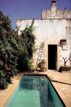 20 Amazing Small Homes With Pools Dipping Pool, Moderne Pools, Small Swimming Pools, Small Pool Design, Small Pools, Dream Pools, Pool Design, Small Backyard Pools, Garden Pool