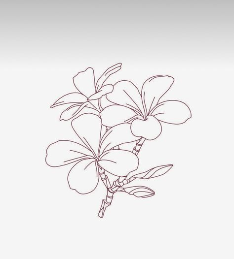 Tiare Flower Drawing, Tropical Bouquet Tattoo, 5 Petal Flower Tattoo, Thailand Flower Tattoo, Tiare Flower Tattoo, Frangipani Flower Drawing, Frangipani Flower Tattoo, Plumeria Flowers Tattoo, Jasmine Flower Drawing Tattoo