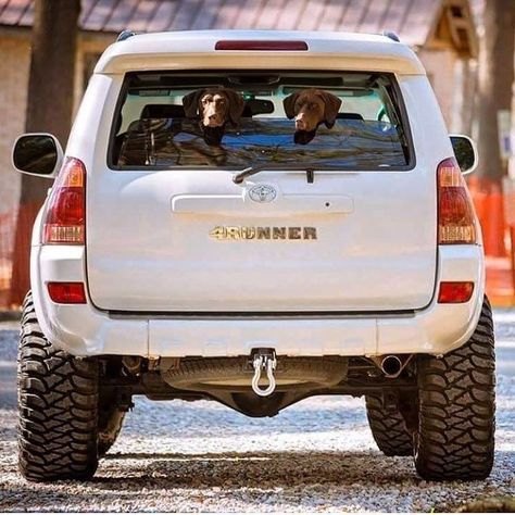 Toyota Runner, Toyota Surf, 4th Gen 4runner, 4runner Mods, Toyota 4runner Trd, Toyota Suv, Mom Car, Truck Yeah, Toyota 4x4