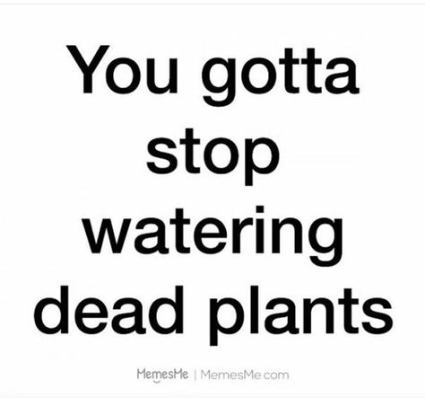 Stop watering dead plants.  #fakefriends Friendship Quotes Funny, Quotes About Moving On, Quotable Quotes, Quotes About Strength, Good Advice, Friendship Quotes, The Words, Great Quotes, Beautiful Words